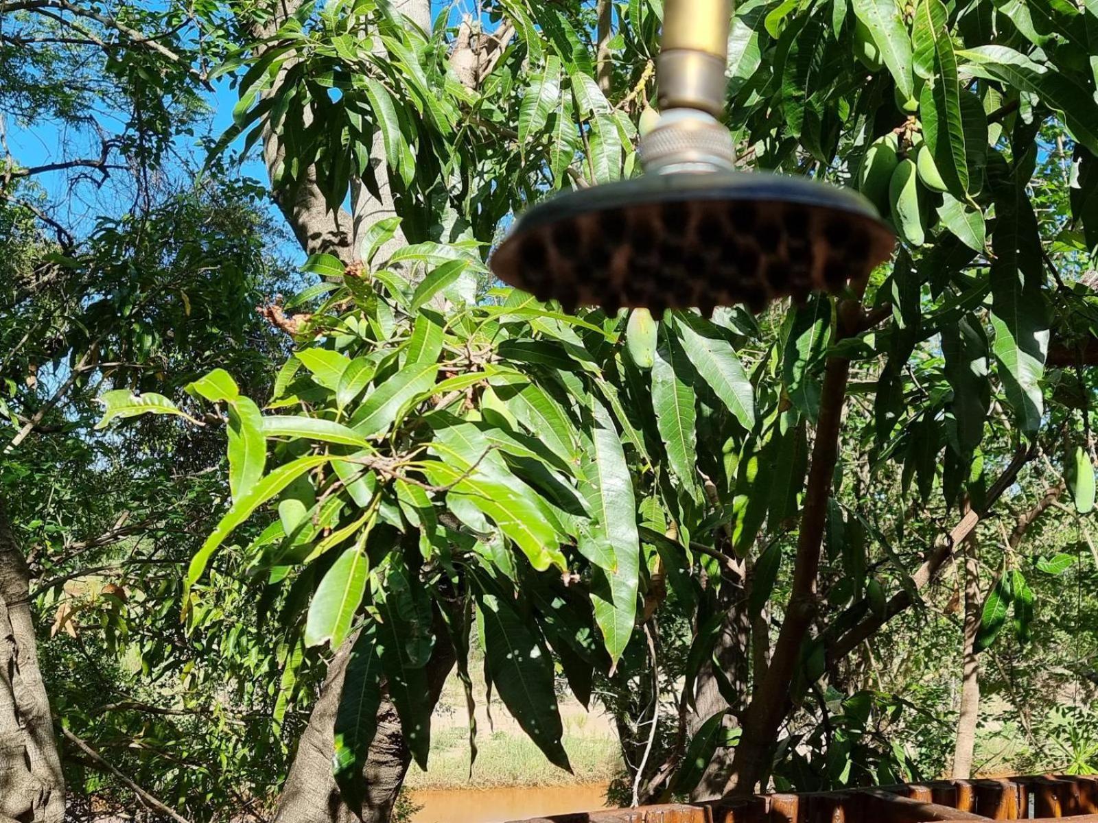 Paradise River Lodge Hoedspruit Bagian luar foto